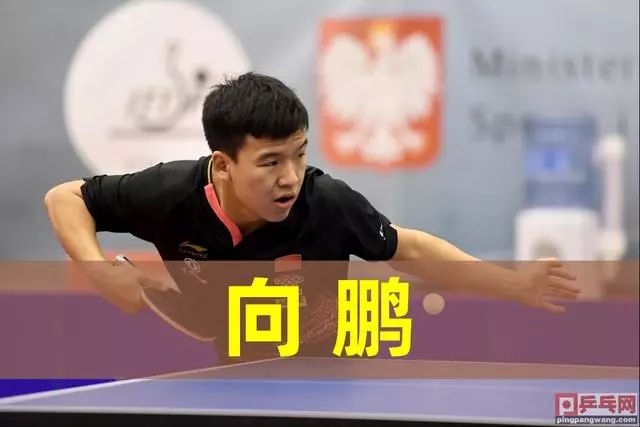 整体水平提 整体水平提